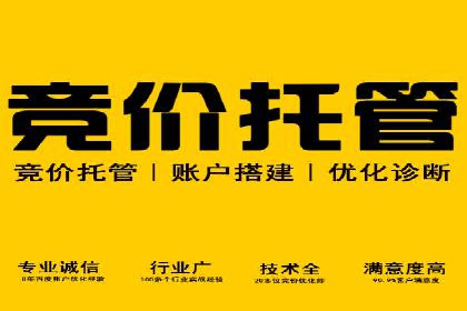SEM服务案例：提升网站流量